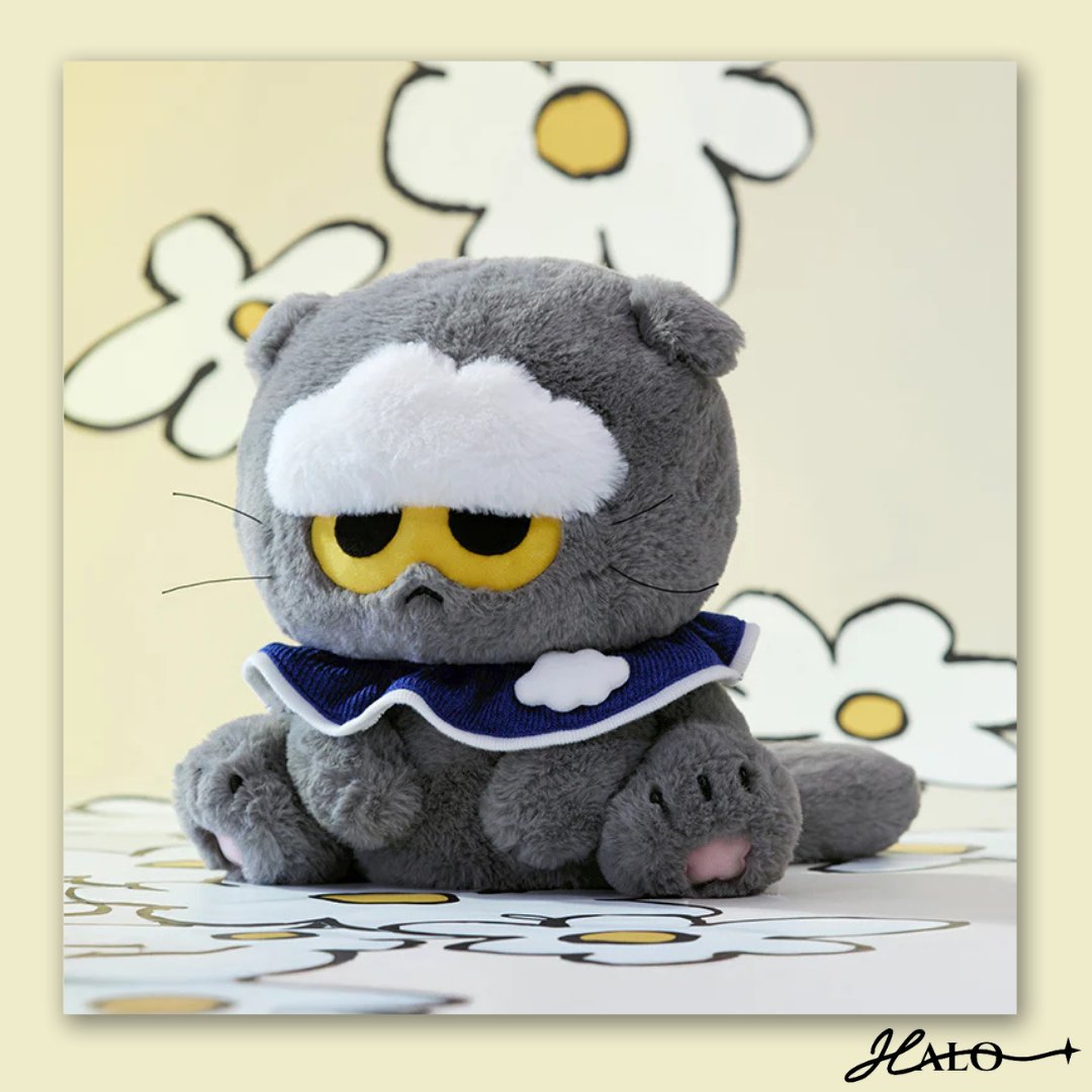 PRE-ORDER預計11月中發貨) ZO&FRIENDS POP-UP Products | Everuts