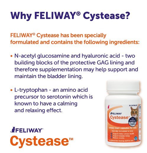 Feliway Cystease Urinary Tract Supplements Adult C. Everuts